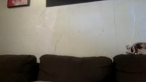 BabygirlsFreaky online show from May 2026 03:17:01 PM