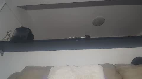 C online show from December 2024 07:58:01 AM