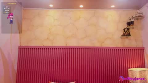 Snapshot of milleyjones_ chatting on February 2026 11:50:01 AM milleyjones_ online show from February 2026 11:50:01 AM