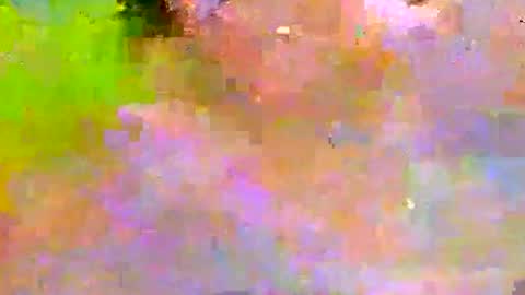 Snapshot of millhill17 chatting on January 2026 12:38:02 AM millhill17 online show from January 2026 12:38:02 AM