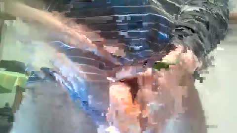 Snapshot of milymen26 chatting on January 2026 11:32:02 PM Milymen26 Polish man master fereskik straight mature online show from January 2026 11:32:02 PM