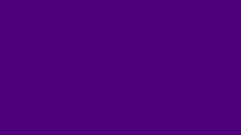 minkfloow online show from January 2025 11:09:01 PM