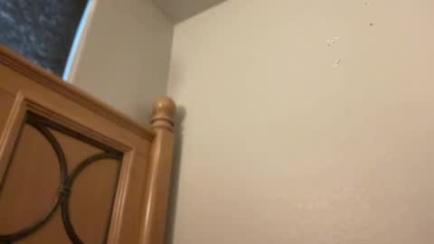 Snapshot of minnyminx chatting on February 2026 02:22:02 PM Minx online show from February 2026 02:22:02 PM