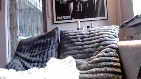 Snapshot of miracolix_030 chatting on February 2026 09:02:02 AM Ben online show from February 2026 09:02:02 AM