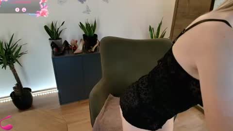Mirela online show from August 2026 03:16:01 AM