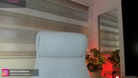 Catalina online show from March 2026 11:48:02 AM