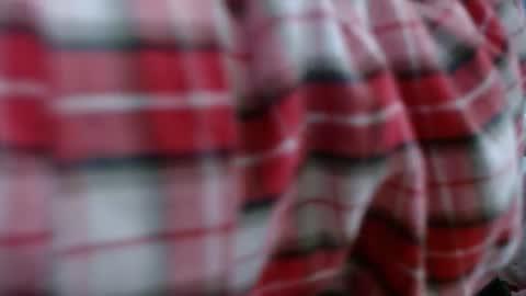 Elis online show from March 2025 12:15:01 PM