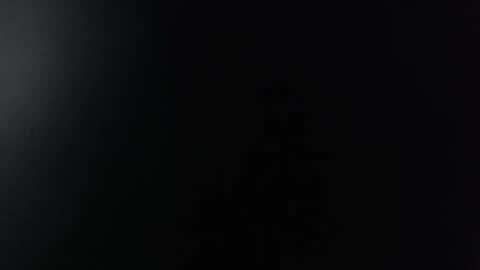 Snapshot of miss_lina_dream chatting on December 2024 11:23:02 AM Miss Lina online show from December 2024 11:23:02 AM