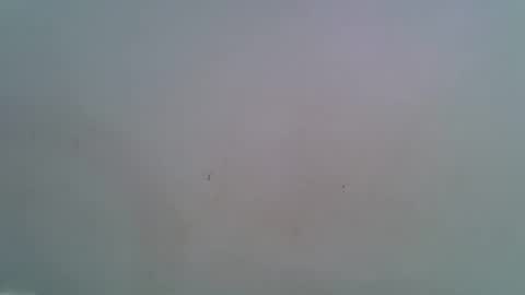 miss_rihanna2 online show from February 2026 07:09:02 PM