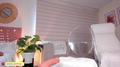 Snapshot of miss_soffy chatting on January 2025 02:34:01 PM Sofia Alvarez online show from January 2025 02:34:01 PM