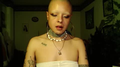 Anarkitten  online show from December 2025 12:17:01 AM