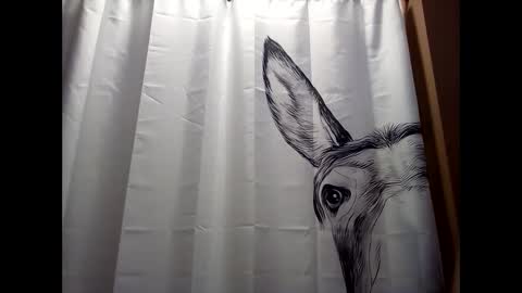 Snapshot of misseeva chatting on December 2024 06:23:02 PM MissEeva online show from December 2024 06:23:02 PM