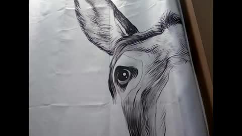 Snapshot of misseeva chatting on February 2025 09:41:02 PM MissEeva online show from February 2025 09:41:02 PM