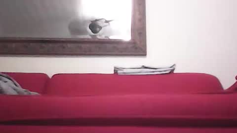 Snapshot of misshollywoodbaby chatting on September 2025 11:48:01 PM misshollywoodbaby online show from September 2025 11:48:01 PM