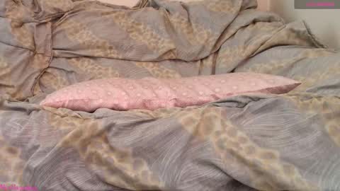  Vi  online show from February 2026 11:06:02 AM