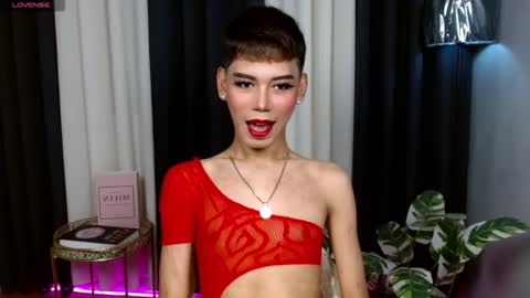 Stella online show from September 2025 06:59:01 AM