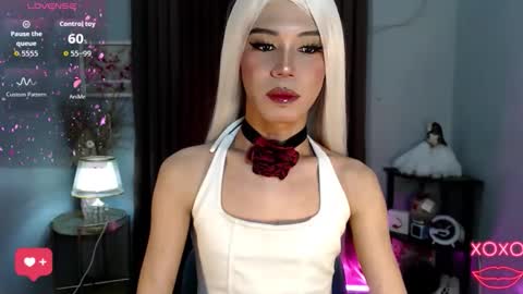 Stella online show from October 2025 07:42:01 AM