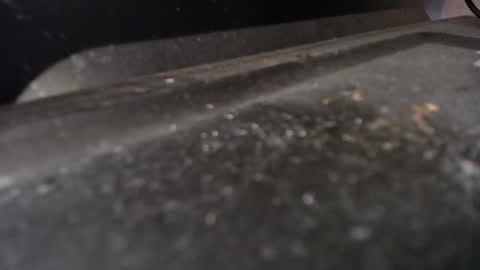 Calipso online show from April 2026 09:15:02 AM