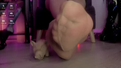 Jhadee online show from January 2025 12:30:01 AM