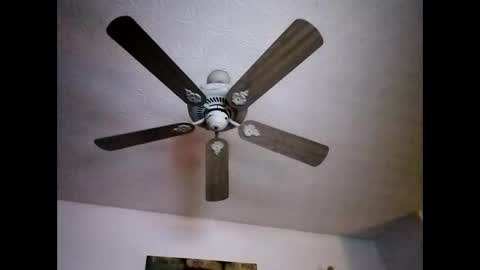 Snapshot of mitchnails69 chatting on December 2024 12:05:02 PM BobbyMitchGa online show from December 2024 12:05:02 PM