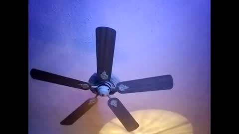 Snapshot of mitchnails69 chatting on January 2025 05:59:02 AM BobbyMitchGa online show from January 2025 05:59:02 AM