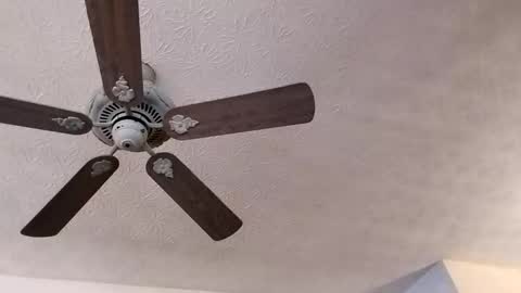 Snapshot of mitchnails69 chatting on February 2025 03:40:01 PM BobbyMitchGa online show from February 2025 03:40:01 PM