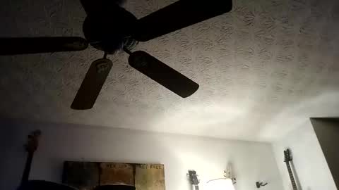 Snapshot of mitchnails69 chatting on September 2025 10:27:01 AM BobbyMitchGa online show from September 2025 10:27:01 AM