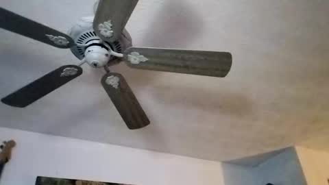 Snapshot of mitchnails69 chatting on September 2025 12:10:02 PM BobbyMitchGa online show from September 2025 12:10:02 PM