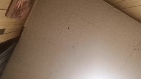 Snapshot of mjmichaelware chatting on February 2026 06:55:02 AM mjmichaelware online show from February 2026 06:55:02 AM