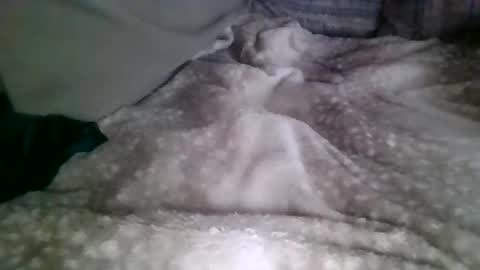 mmmbacon211 online show from February 2026 08:07:02 PM