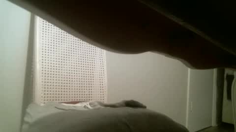 Snapshot of mmrstp chatting on January 2025 11:41:02 AM mmrstp online show from January 2025 11:41:02 AM