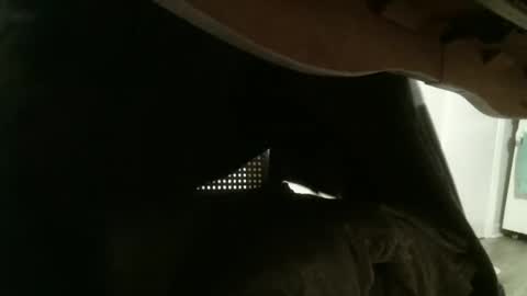 Snapshot of mmrstp chatting on January 2025 12:01:01 PM mmrstp online show from January 2025 12:01:01 PM