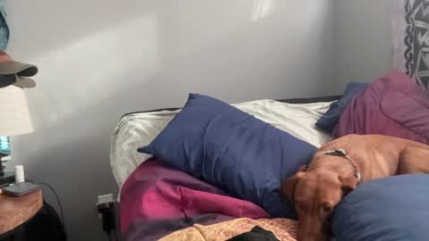 MNTuiLa online show from February 2025 03:39:01 PM