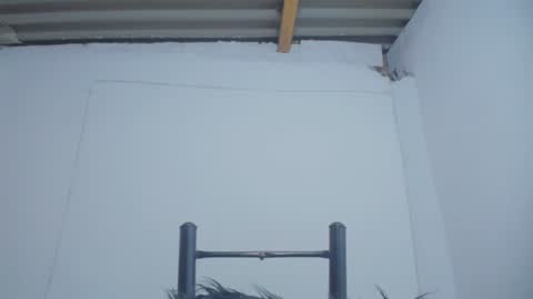 Catalina online show from December 2024 02:09:02 AM