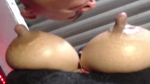 Catalina online show from December 2024 05:26:02 AM