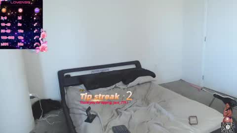 NynaStax online show from December 2024 07:00:02 PM