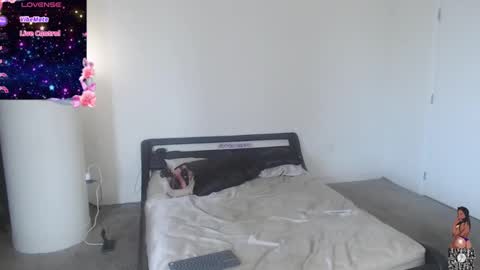 NynaStax online show from December 2024 05:12:01 PM