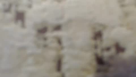 Mohito200711 online show from September 2025 06:35:02 AM