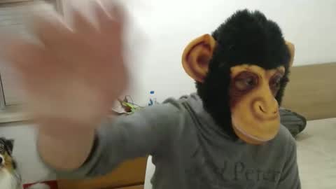 molkreid2 online show from April 2026 03:04:02 AM