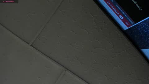 Hey Guys  Im Mollie online show from February 2026 12:08:01 PM