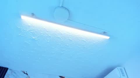 Hey Guys  Im Mollie online show from May 2026 12:01:01 PM