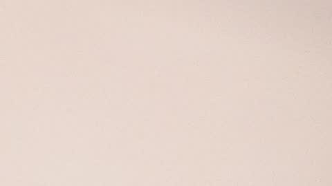 Molly Evanss online show from January 2025 08:04:01 AM