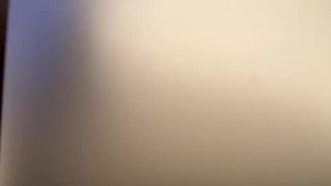 moma1111 online show from March 2025 05:17:02 PM