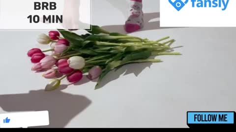 Snapshot of mommy_cum chatting on January 2025 05:16:01 AM Mommy online show from January 2025 05:16:01 AM