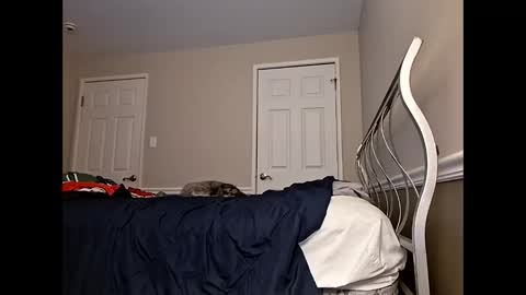 Snapshot of moneyboysaveg584 chatting on April 2026 10:09:02 AM moneyboysaveg584 online show from April 2026 10:09:02 AM