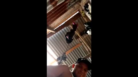 monosqui13 online show from February 2026 07:30:02 PM