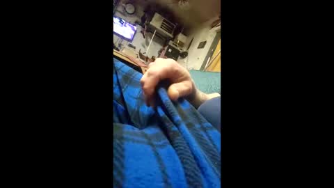 monsterjosh84 online show from February 2026 07:24:01 AM