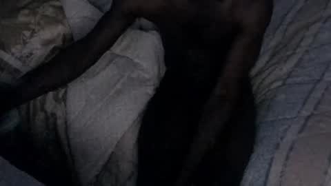 montydxxx2 online show from February 2026 12:34:01 PM