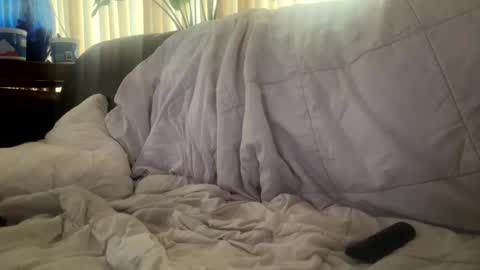 Snapshot of moon_man5 chatting on November 2025 04:38:01 PM Mitchell online show from November 2025 04:38:01 PM