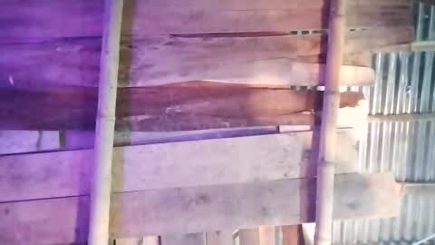 moon_roxee online show from January 2025 07:13:01 PM